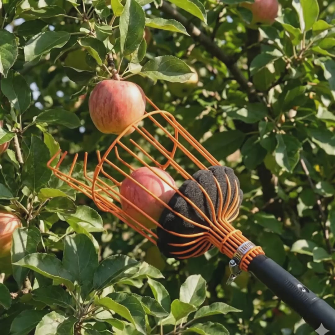 Load video: Fruit Picker Pro - HexaLock
